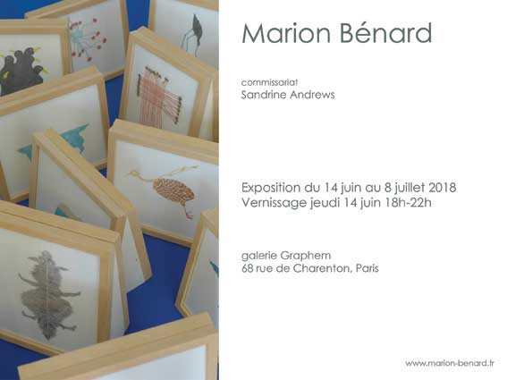 exposition, exhibition, art contemporain, contemporary art, Marion Bénard
