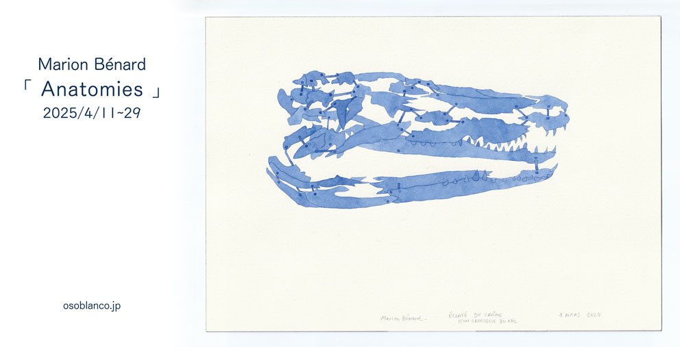 exposition, exhibition, art contemporain, contemporary art, Marion Bénard, Osoblanco Gallery, Osaka, solo show, exposition personnelle