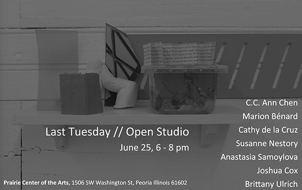 exposition, exhibition, art contemporain, contemporary art, Marion Bénard