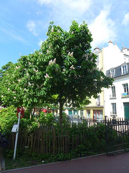 exposition, exhibition, art contemporain, contemporary art, Marion Bénard