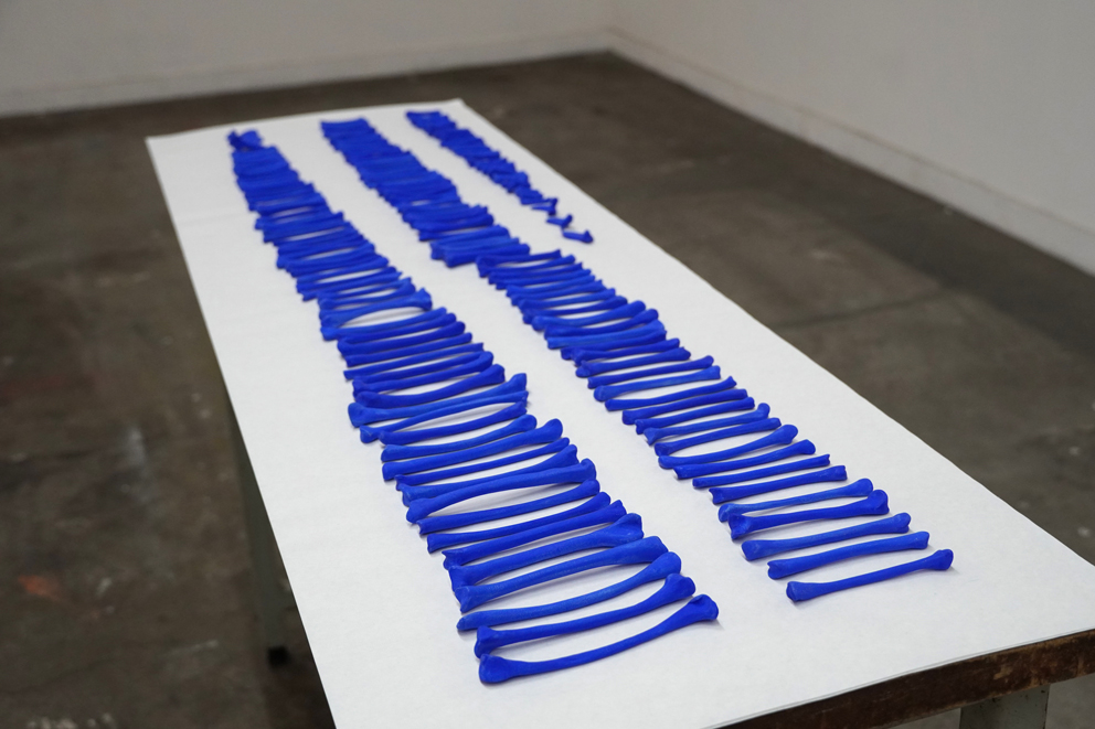 art contemporain, contemporary art, watercolor, aquarelle, anatomie, anatomy, squelette, skeleton, bones, os, exposition au Japon, Osaka, Japan, faïence, ceramic