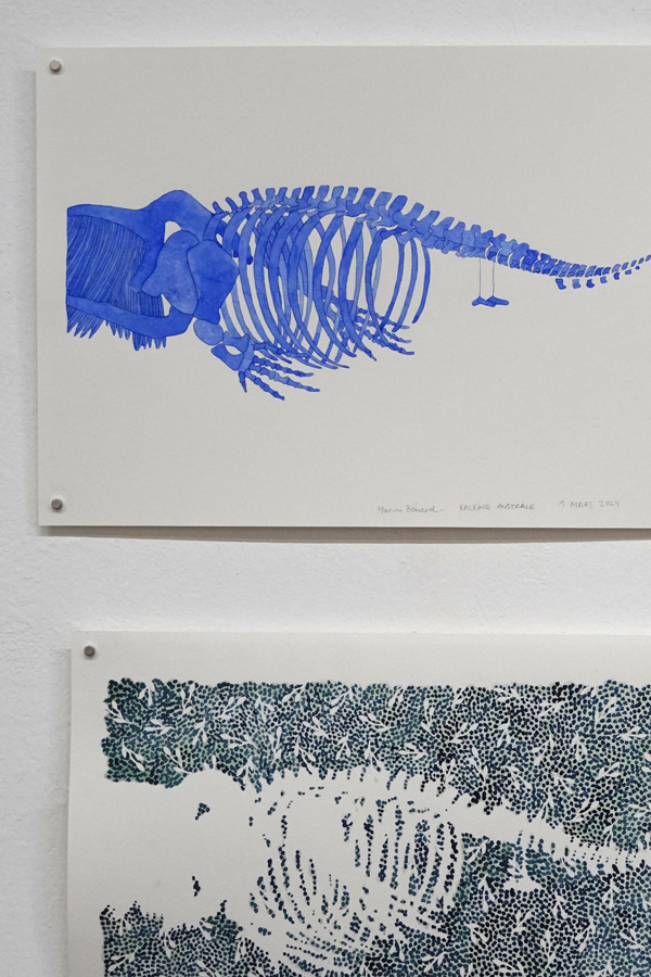 art contemporain, contemporary art, watercolor, aquarelle, animal, motifs, pattern, anatomie, anatomy, squelette, skeleton, bones, os, exposition au Japon, Osaka, Japan